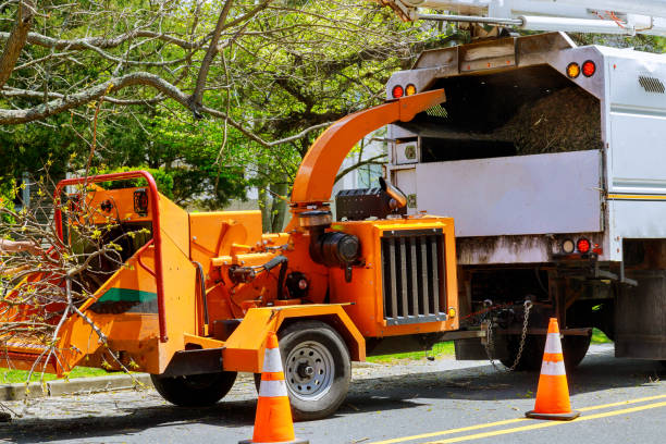 Leaf Removal in Masury, OH